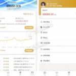 最新修复完美运营版美金MIX币圈投资源码|Fastpay支付|K线完美+完整数据+带教程