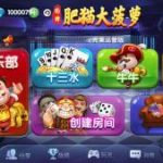 【完整全套】肥猫大菠萝福禄寿棋牌组件，安卓+IOS+全套数据，房卡合集版本，真正的运营级产品 附解密工具