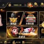 最新海盗王 微星二开新版UI+排行榜+全民代理+双端APP+完整数据库