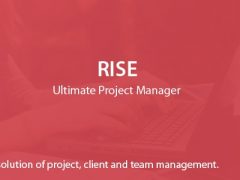 RISE v2.4 – PHP项目管理源码