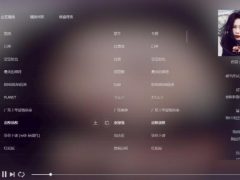 MKOnlinePlayer v2.4在线个人音乐网站源码程序