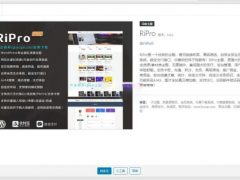 RIPro主题 v6.2pj版 WordPress模板主题下载【仅作推荐】