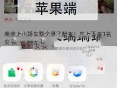 功能模块 防举报助手V1.0.1 原版