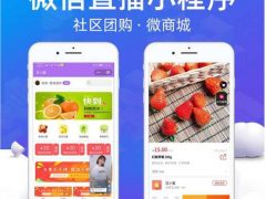 【jpshop直播小程序微商城v1.3.69】功能模块+前端+含社区团购插件+电商系统+采用VUE开发前台H5