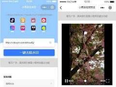 抖音去水印小程序源码 **版 无后台