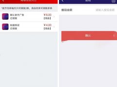 最新[趣星球]新版[霸屏天下][挂机赚钱源码]+双端APP+完整数据+**教程