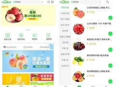 商淘连锁便利店管理系统 v1.0