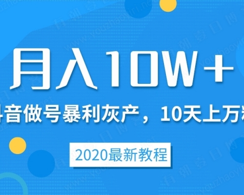 抖音暴利灰产，10天上万粉，卖号月入10W+[视频教程]