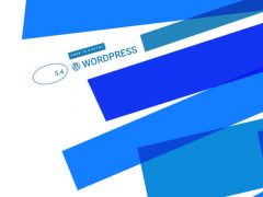 WordPress5.4官方下载：解决wordpress官网429，无法下载问题