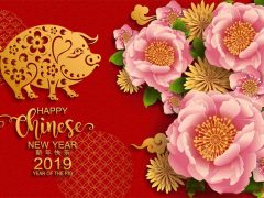 站长恭祝：全体源码屋会员2019年元旦快乐！